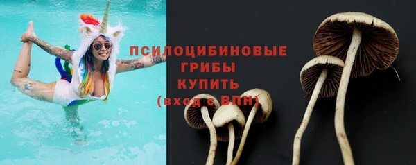 дживик Абаза