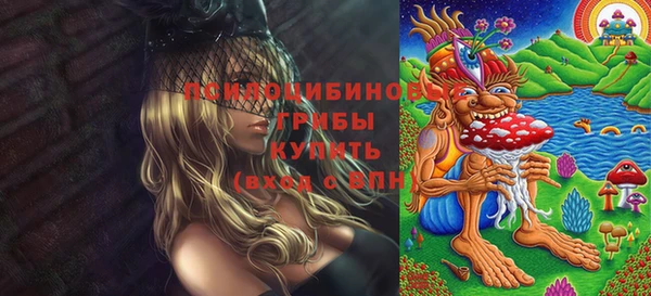 дживик Абаза