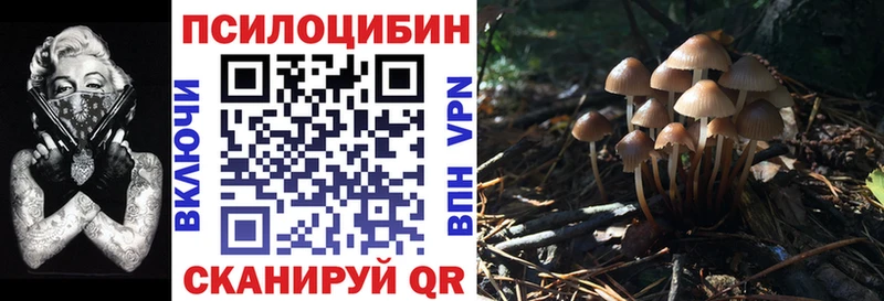 Псилоцибиновые грибы мухоморы  Вологда 